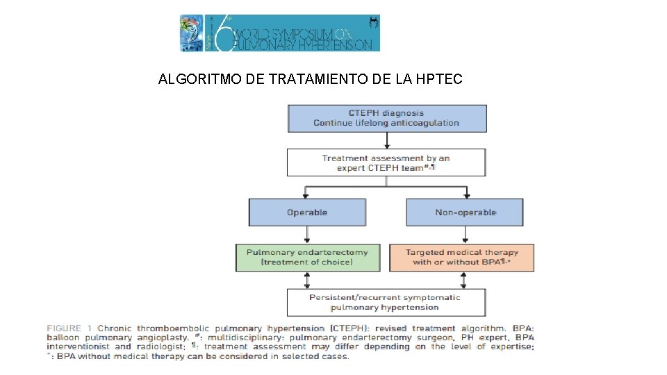 ALGORITMO DE TRATAMIENTO DE LA HPTEC 