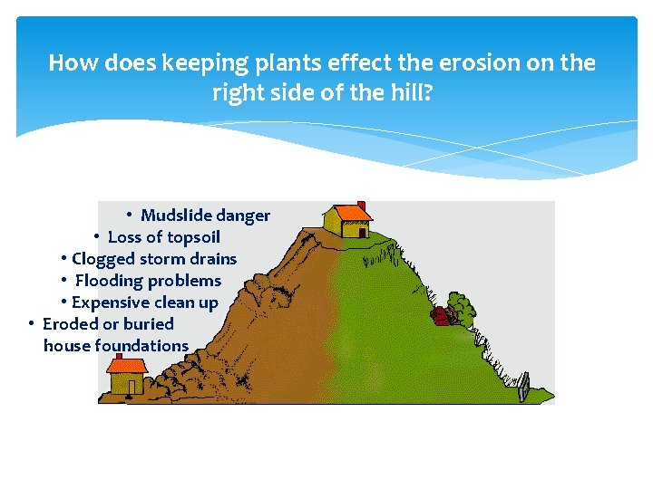 How does keeping plants effect the erosion on the right side of the hill?