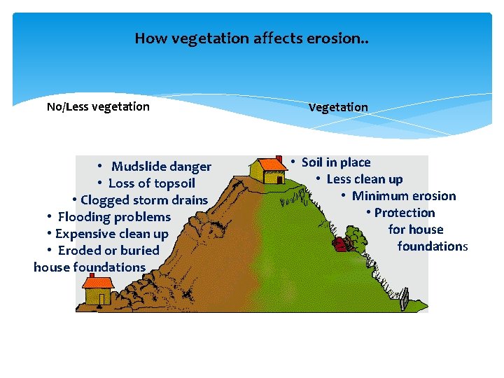 How vegetation affects erosion. . No/Less vegetation • Mudslide danger • Loss of topsoil