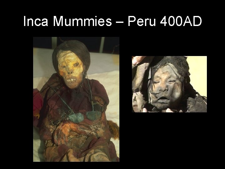 Inca Mummies – Peru 400 AD 