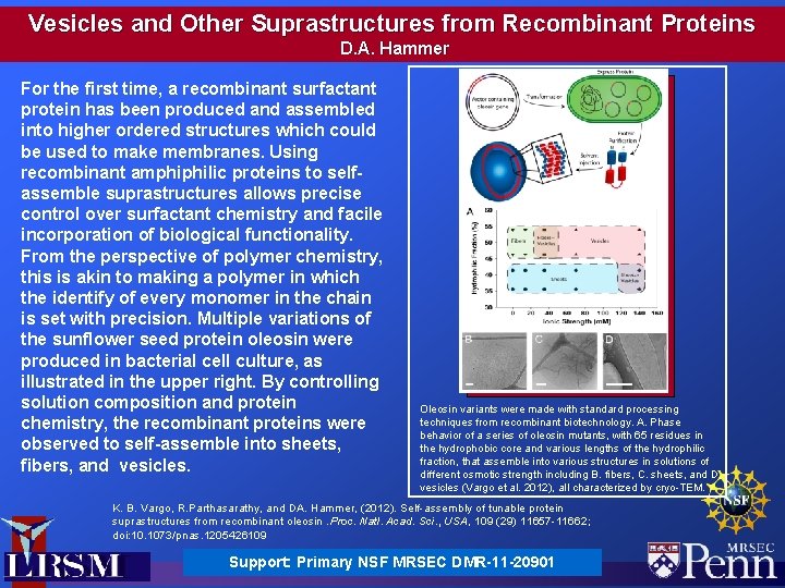 Vesicles and Other Suprastructures from Recombinant Proteins D. A. Hammer For the first time,