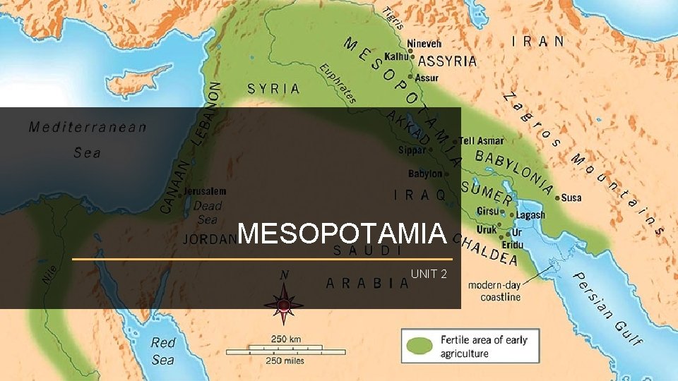 MESOPOTAMIA UNIT 2 