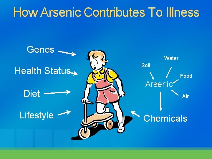 How Arsenic Contributes To Illness Genes Water Health Status Diet Lifestyle Soil Food Arsenic