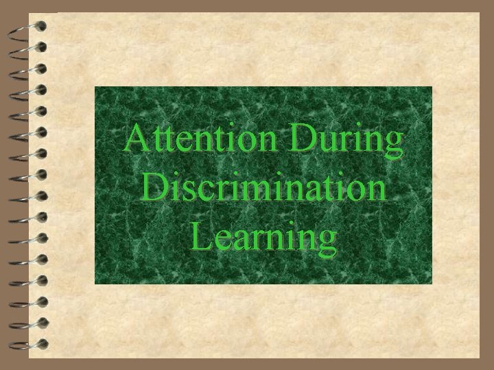 Attention During Discrimination Learning 