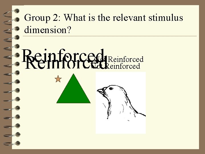 Group 2: What is the relevant stimulus dimension? Not Reinforced 