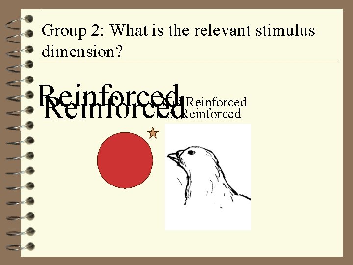 Group 2: What is the relevant stimulus dimension? Not Reinforced 