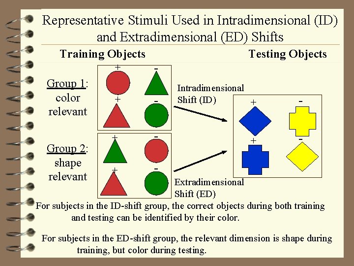 Representative Stimuli Used in Intradimensional (ID) and Extradimensional (ED) Shifts Training Objects G -