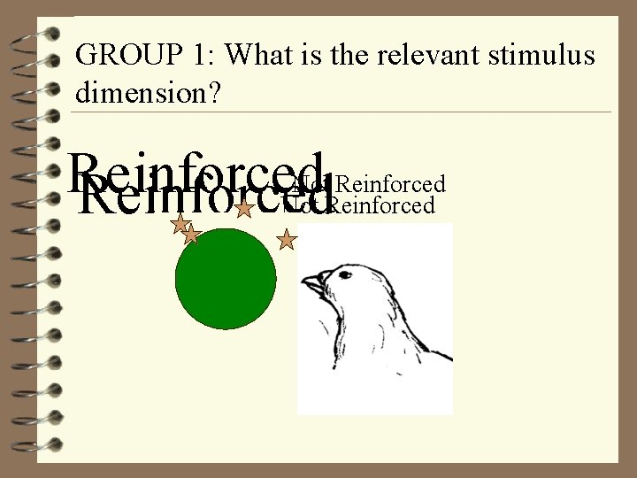 GROUP 1: What is the relevant stimulus dimension? Not Reinforced 