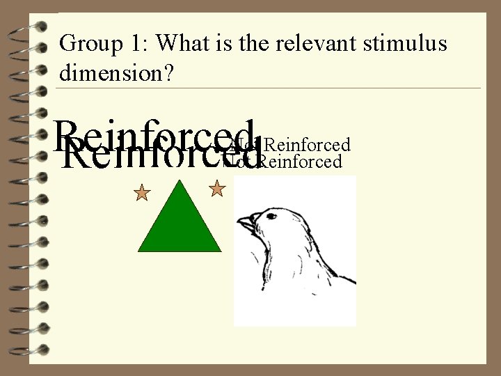 Group 1: What is the relevant stimulus dimension? Not Reinforced 