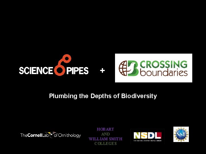 + Plumbing the Depths of Biodiversity HOBART AND WILLIAM SMITH COLLEGES 