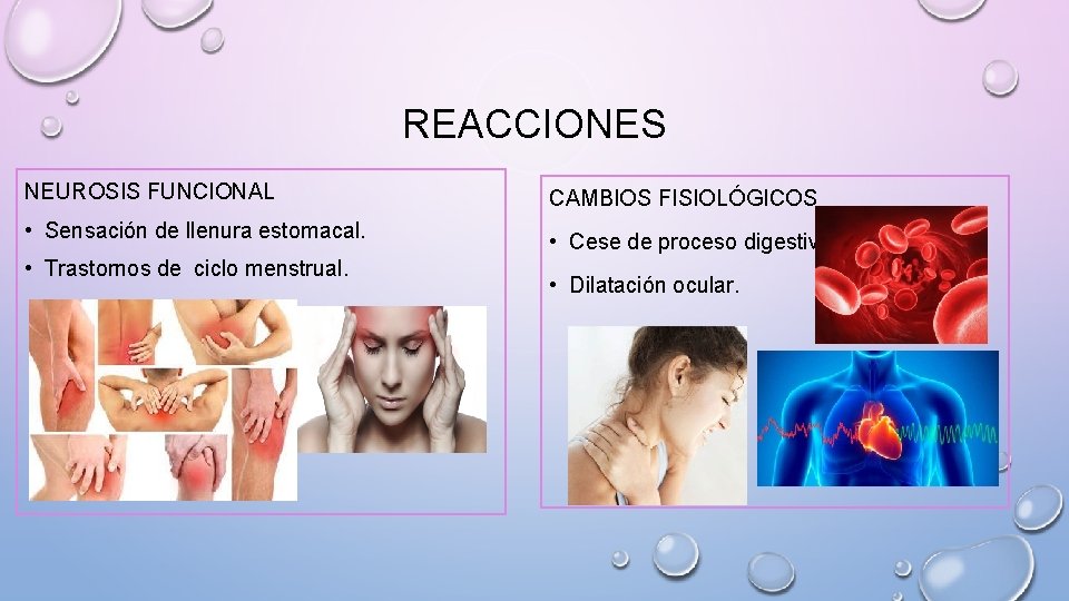 REACCIONES NEUROSIS FUNCIONAL CAMBIOS FISIOLÓGICOS • Sensación de llenura estomacal. • Cese de proceso