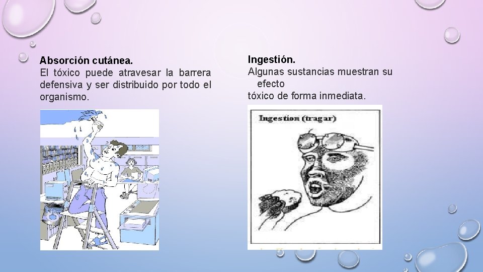 Absorción cutánea. El tóxico puede atravesar la barrera defensiva y ser distribuido por todo