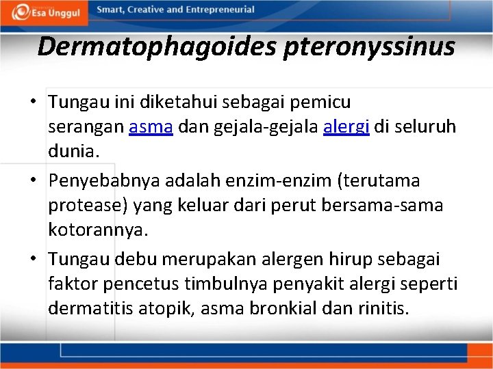 Dermatophagoides pteronyssinus • Tungau ini diketahui sebagai pemicu serangan asma dan gejala-gejala alergi di