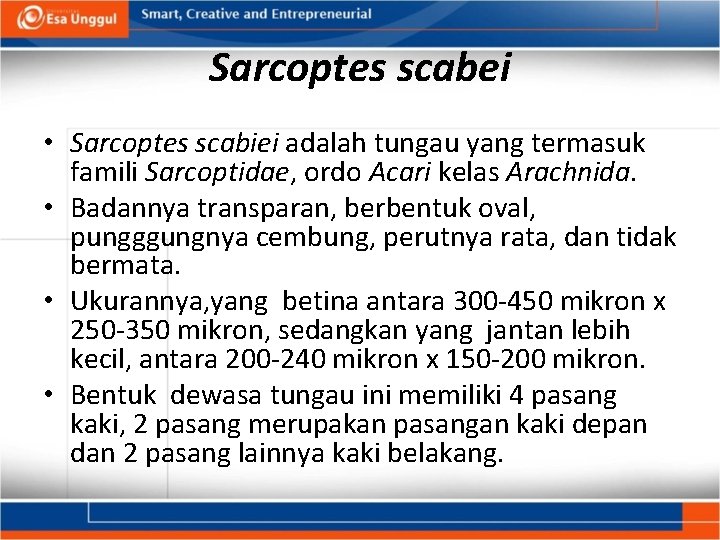 Sarcoptes scabei • Sarcoptes scabiei adalah tungau yang termasuk famili Sarcoptidae, ordo Acari kelas