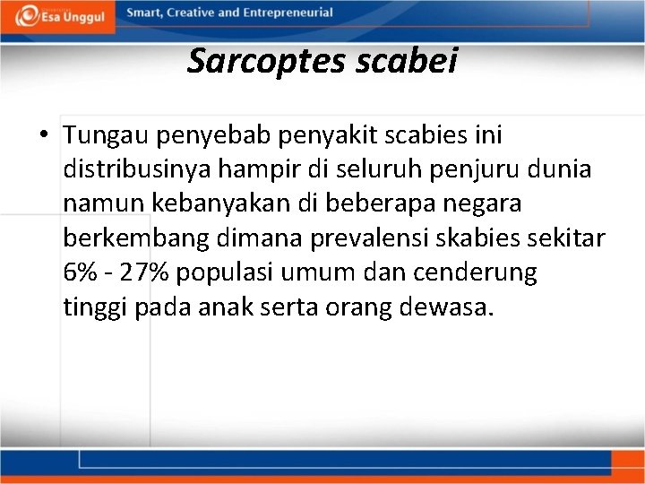 Sarcoptes scabei • Tungau penyebab penyakit scabies ini distribusinya hampir di seluruh penjuru dunia