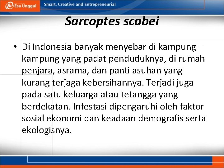 Sarcoptes scabei • Di Indonesia banyak menyebar di kampung – kampung yang padat penduduknya,