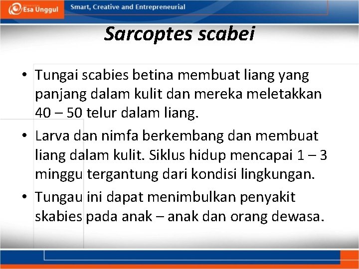Sarcoptes scabei • Tungai scabies betina membuat liang yang panjang dalam kulit dan mereka
