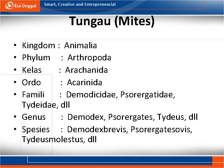 Tungau (Mites) Kingdom : Animalia Phylum : Arthropoda Kelas : Arachanida Ordo : Acarinida