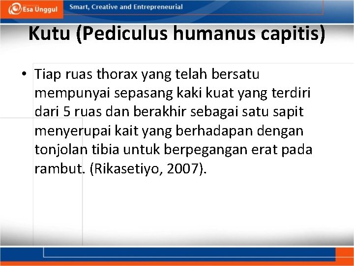Kutu (Pediculus humanus capitis) • Tiap ruas thorax yang telah bersatu mempunyai sepasang kaki