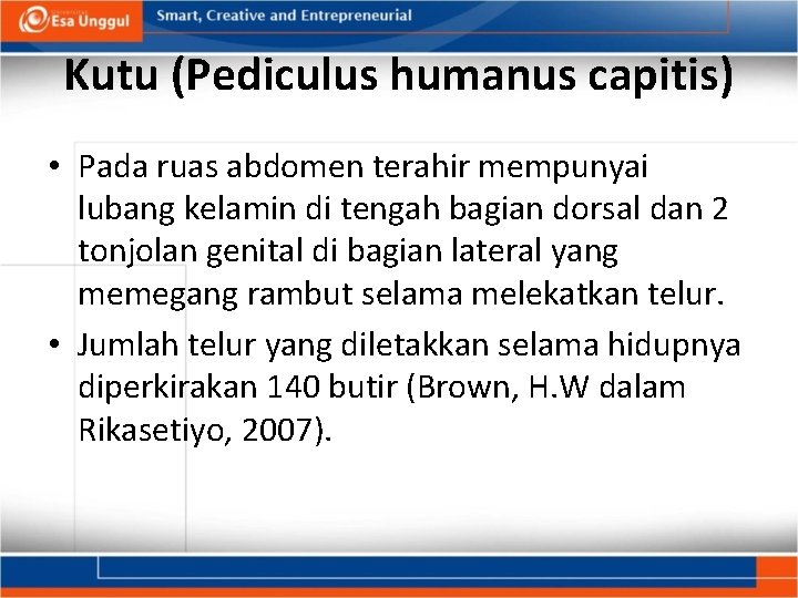 Kutu (Pediculus humanus capitis) • Pada ruas abdomen terahir mempunyai lubang kelamin di tengah