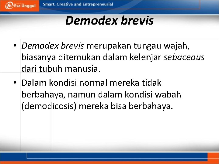 Demodex brevis • Demodex brevis merupakan tungau wajah, biasanya ditemukan dalam kelenjar sebaceous dari