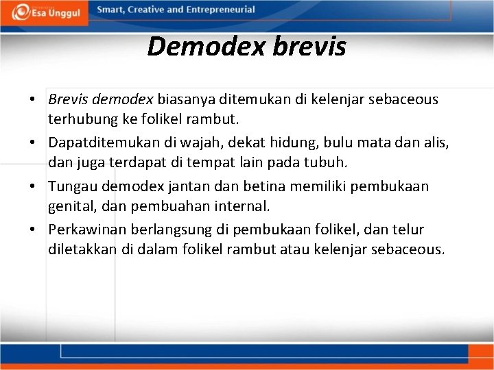 Demodex brevis • Brevis demodex biasanya ditemukan di kelenjar sebaceous terhubung ke folikel rambut.