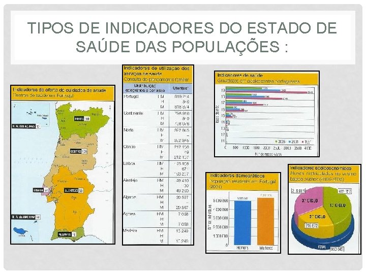 TIPOS DE INDICADORES DO ESTADO DE SAÚDE DAS POPULAÇÕES : 