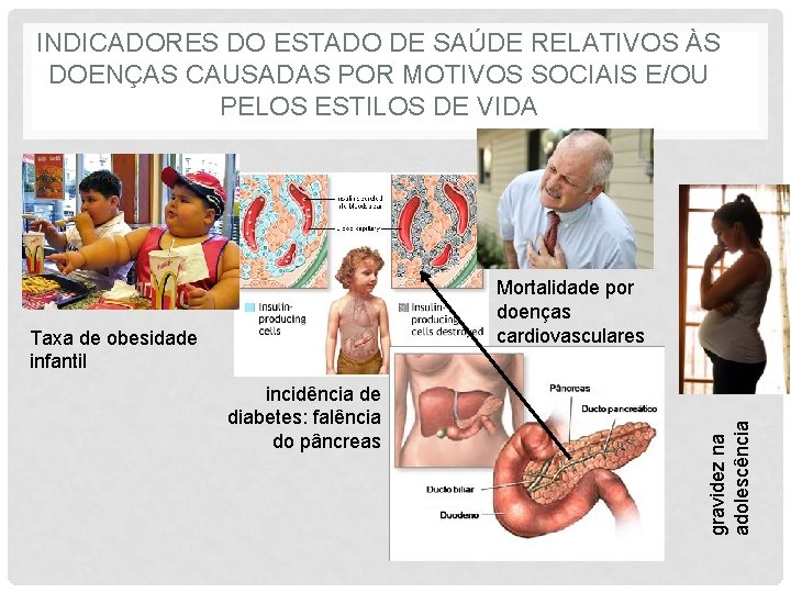 INDICADORES DO ESTADO DE SAÚDE RELATIVOS ÀS DOENÇAS CAUSADAS POR MOTIVOS SOCIAIS E/OU PELOS