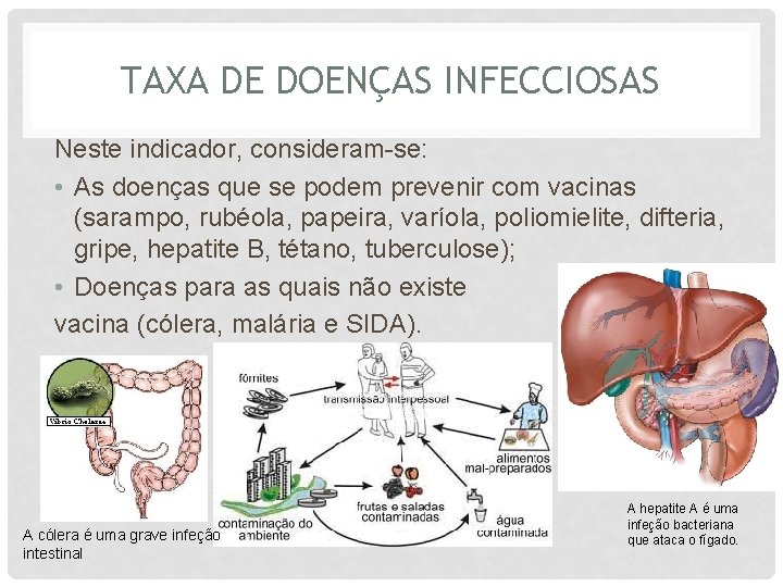 TAXA DE DOENÇAS INFECCIOSAS Neste indicador, consideram-se: • As doenças que se podem prevenir