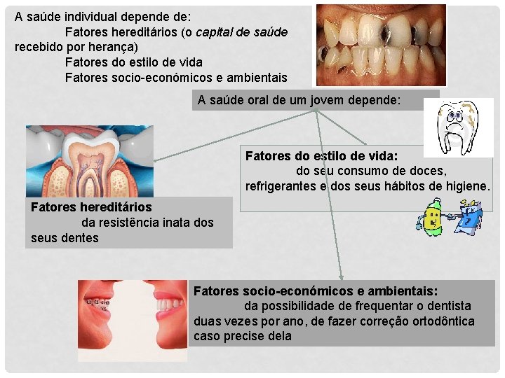 A saúde individual depende de: Fatores hereditários (o capital de saúde recebido por herança)
