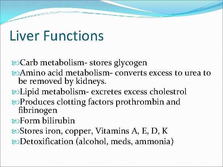 Liver Functions Carb metabolism- stores glycogen Amino acid metabolism- converts excess to urea to
