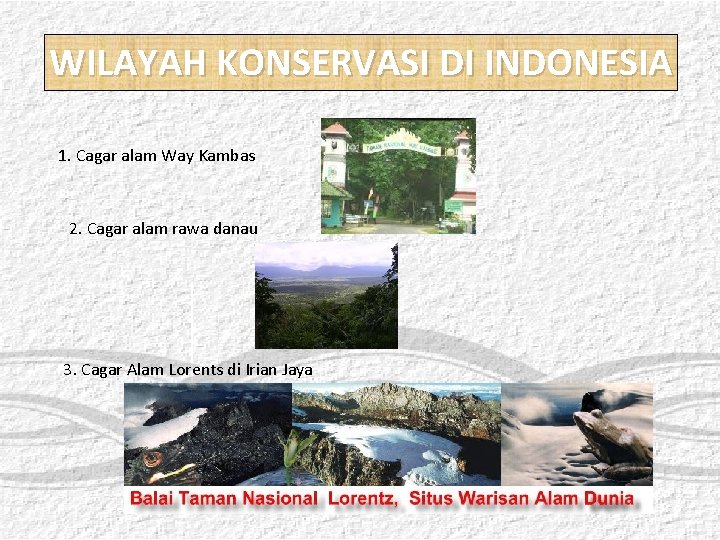 WILAYAH KONSERVASI DI INDONESIA 1. Cagar alam Way Kambas 2. Cagar alam rawa danau