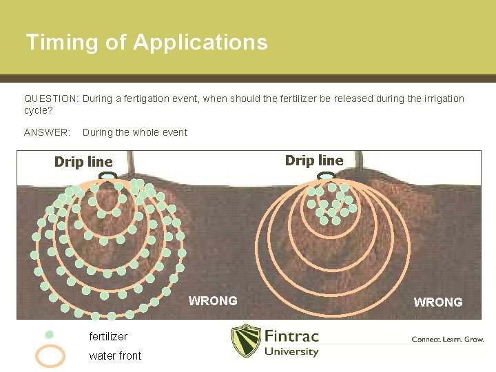 Timing of Applications QUESTION: During a fertigation event, when should the fertilizer be released