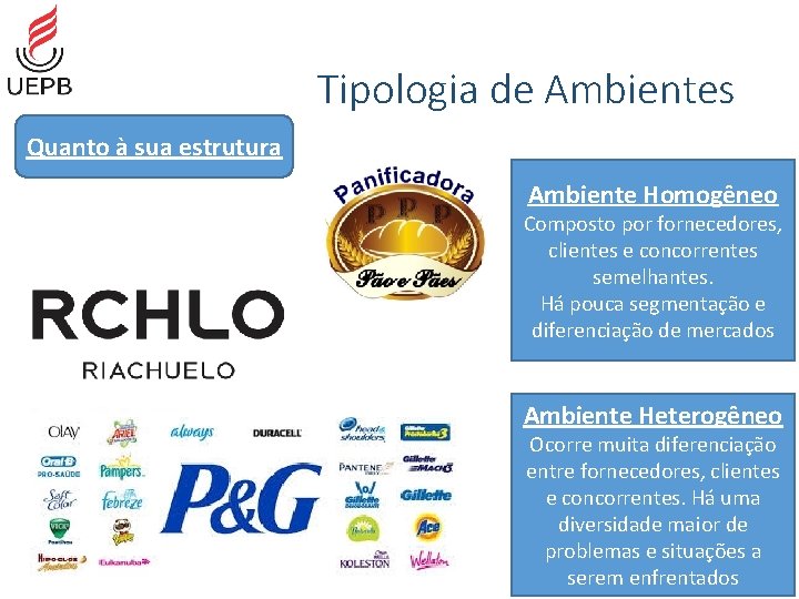 Tipologia de Ambientes Quanto à sua estrutura Ambiente Homogêneo Composto por fornecedores, clientes e