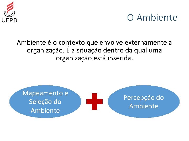 O Ambiente é o contexto que envolve externamente a organização. É a situação dentro