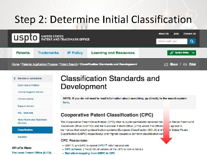 Step 2: Determine Initial Classification 