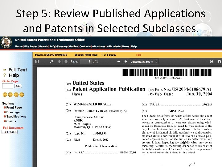 Step 5: Review Published Applications and Patents in Selected Subclasses. 