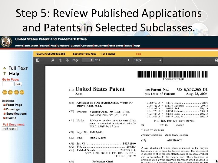 Step 5: Review Published Applications and Patents in Selected Subclasses. 