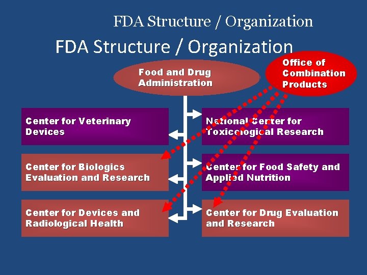 FDA Structure / Organization Food and Drug Administration Office of Combination Products Center for