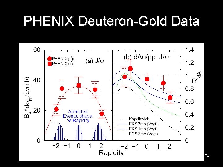 PHENIX Deuteron-Gold Data 24 