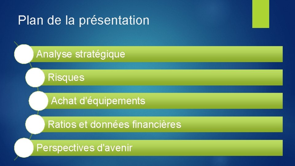 Plan de la présentation Analyse stratégique Risques Achat d'équipements Ratios et données financières Perspectives