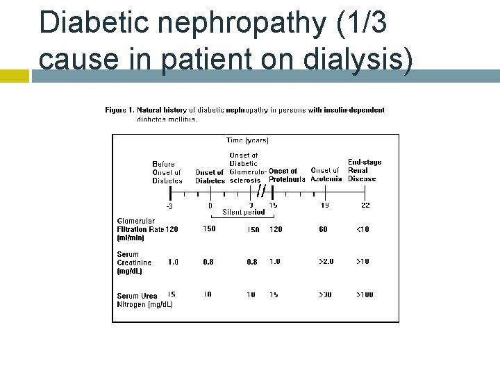 Diabetic nephropathy (1/3 cause in patient on dialysis) 