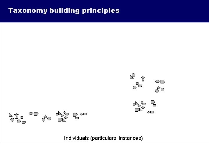 Taxonomy building principles Individuals (particulars, instances) 