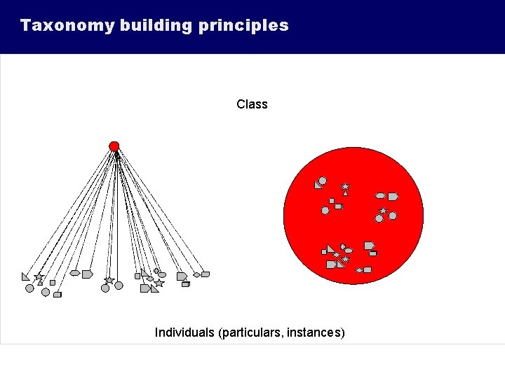 Taxonomy building principles Class Individuals (particulars, instances) 