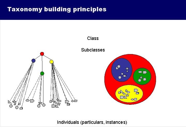 Taxonomy building principles Class Subclasses Individuals (particulars, instances) 