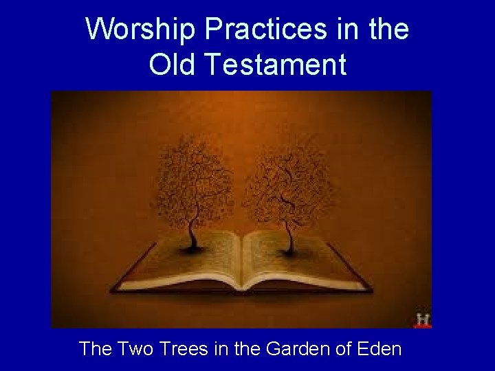 Worship Practices in the Old Testament The Two Trees in the Garden of Eden