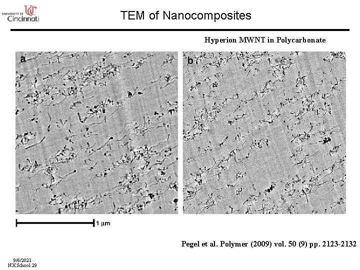 TEM of Nanocomposites Hyperion MWNT in Polycarbonate Pegel et al. Polymer (2009) vol. 50