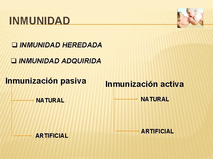 INMUNIDAD q INMUNIDAD HEREDADA q INMUNIDAD ADQUIRIDA Inmunización pasiva NATURAL ARTIFICIAL Inmunización activa NATURAL