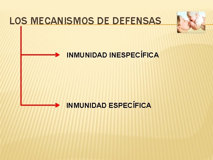 LOS MECANISMOS DE DEFENSAS INMUNIDAD INESPECÍFICA INMUNIDAD ESPECÍFICA 