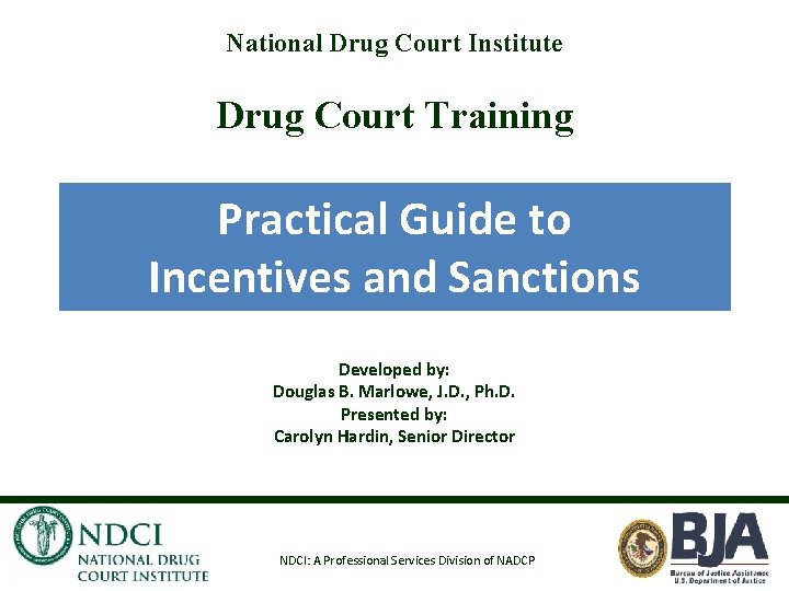 National Drug Court Institute Drug Court Training Practical Guide to Incentives and Sanctions Developed